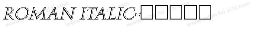 roman italic字体转换